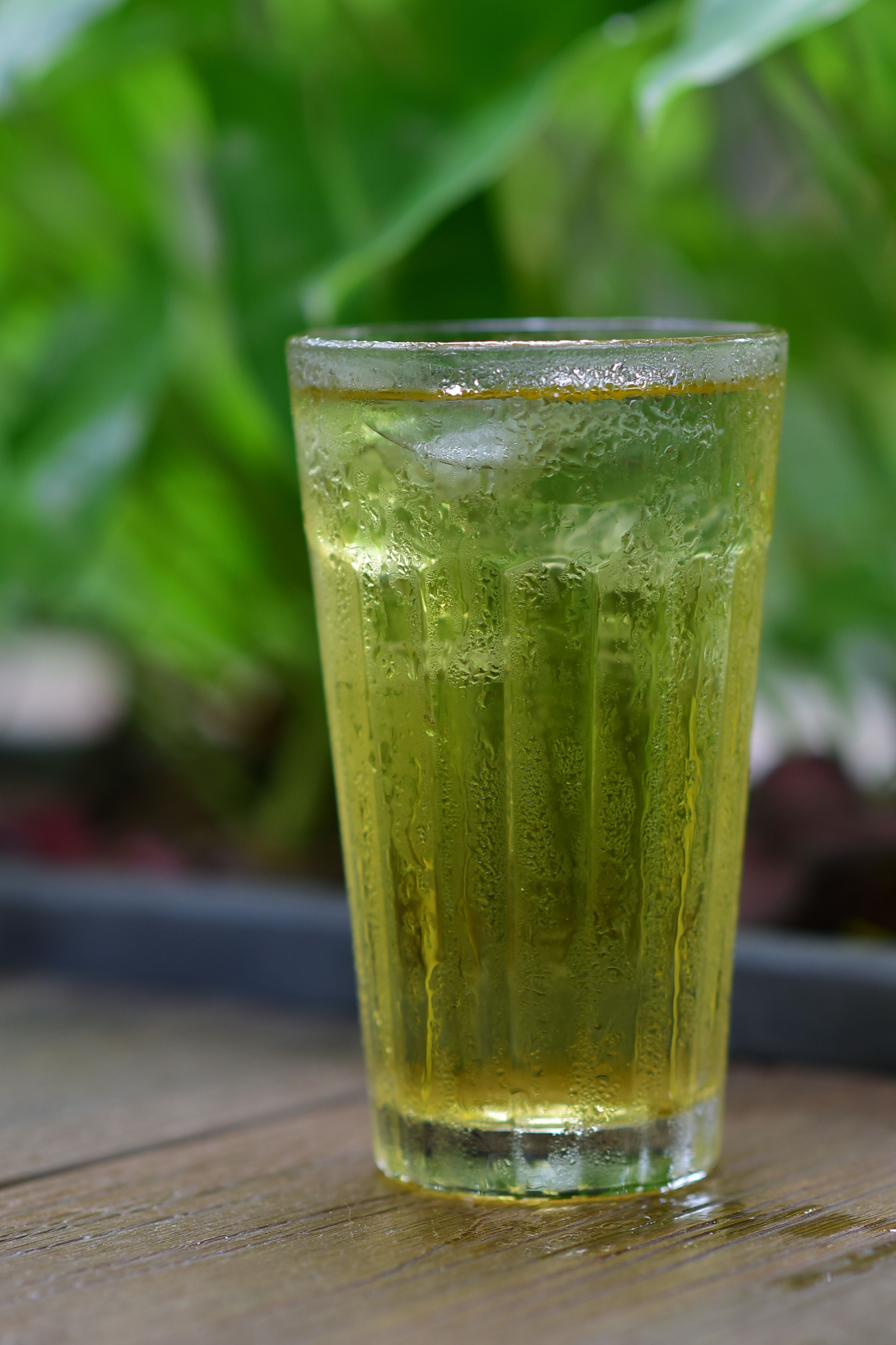 manfaat obat herbal untuk kesehatan tubuh.